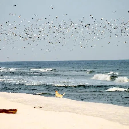 White Pearl 3.03 Lejlighed Timmendorfer Strand