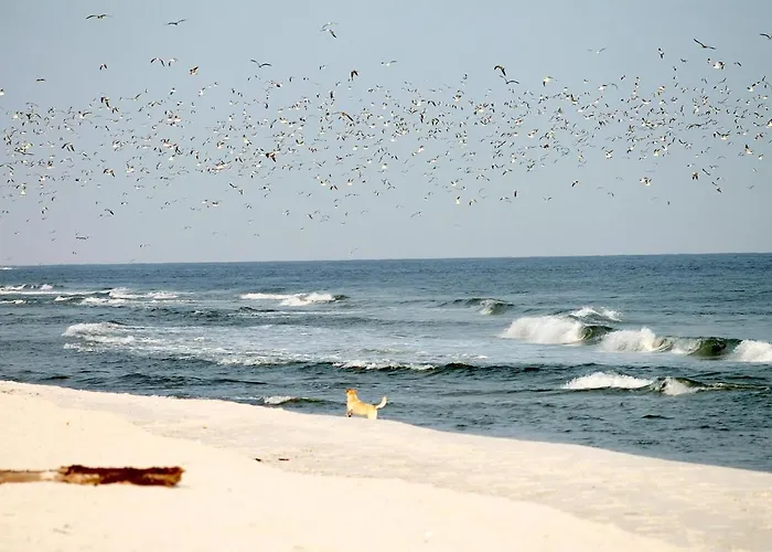 White Pearl 3.03 Lägenhet Timmendorfer Strand